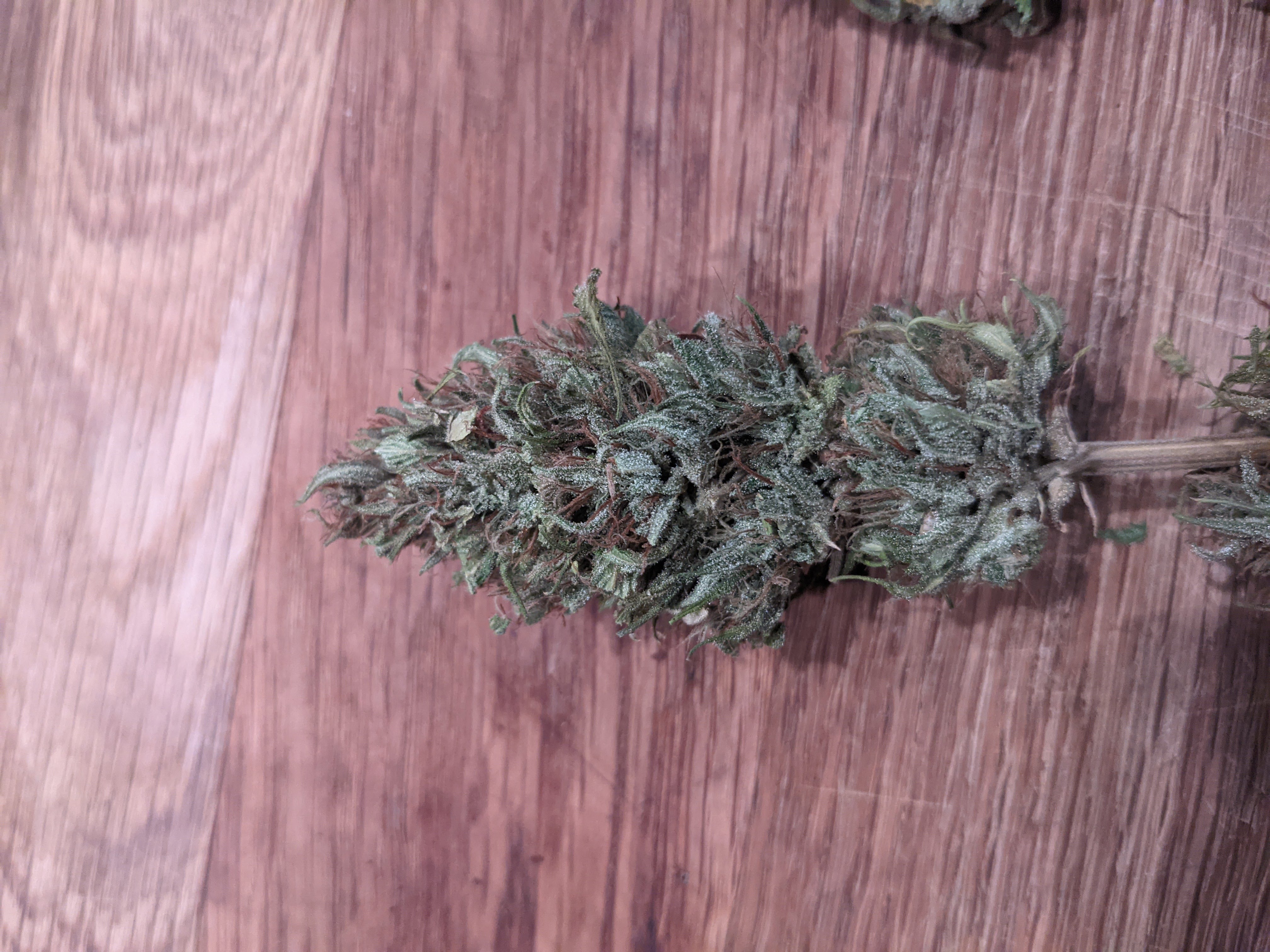 Grape Koolaid Kush dried cola