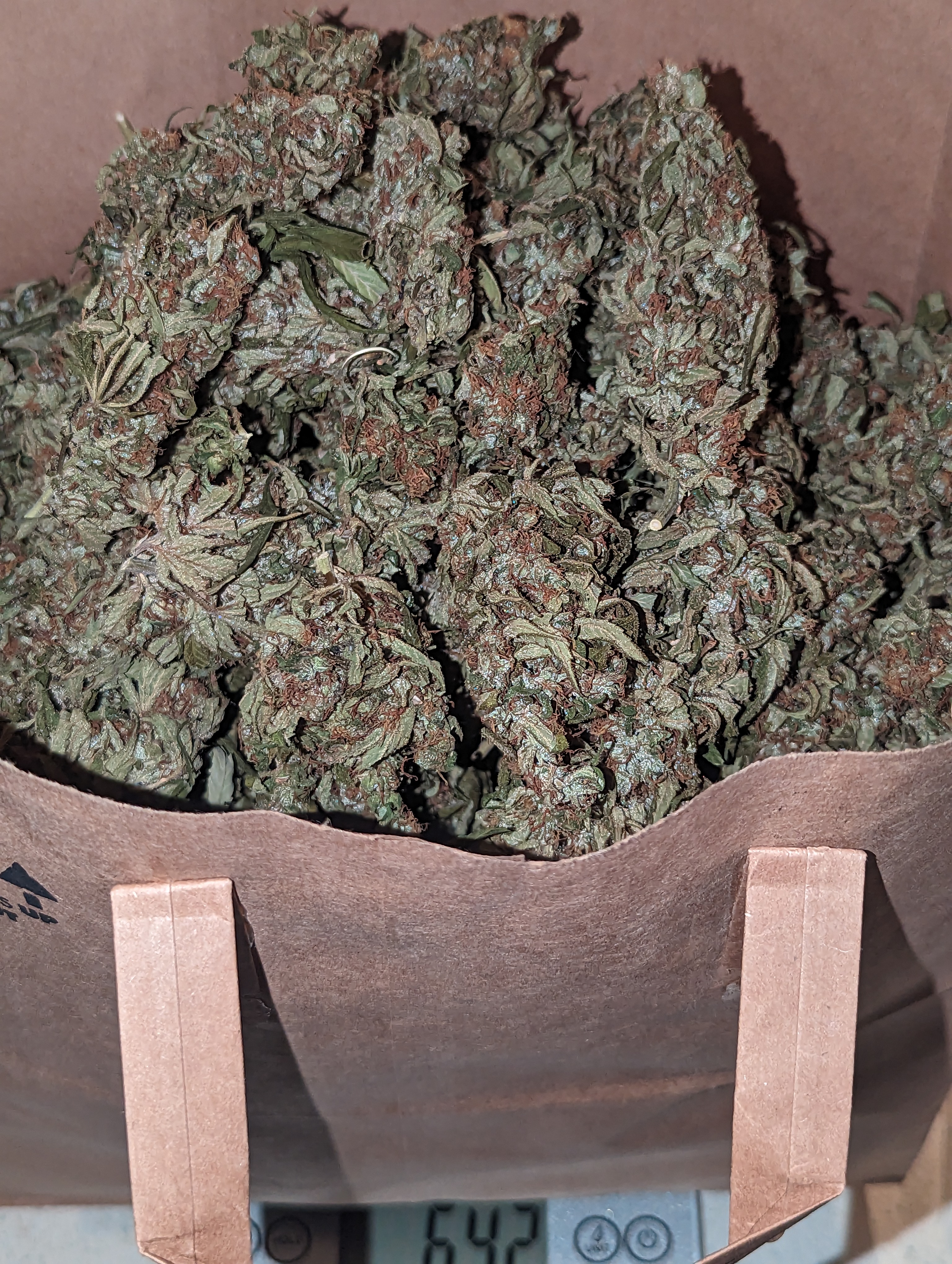 Roberts Creek Congo harvest bag